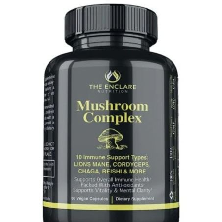 Mushroom Complex In Pakistan